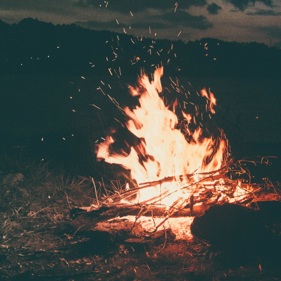 Billede af et bål om aftenen i en skov.