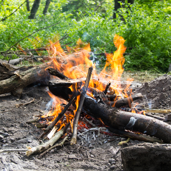 Foto af bål i en skov