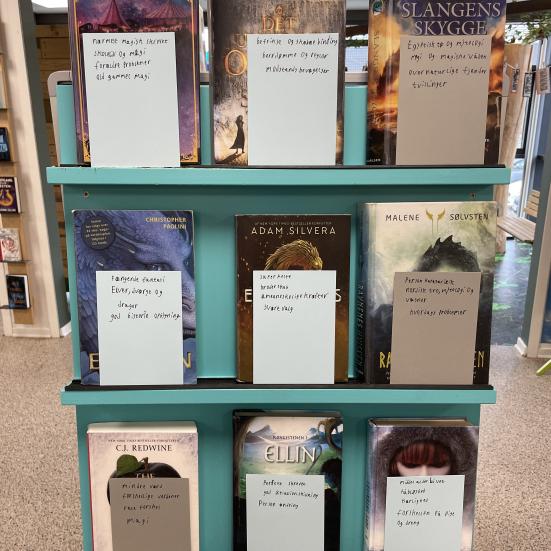 Bøger stablet op på hylder, udstillet og anbefalet af skolepraktikant. 