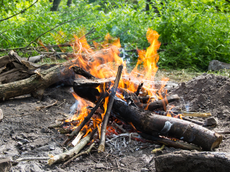 Foto af bål i en skov