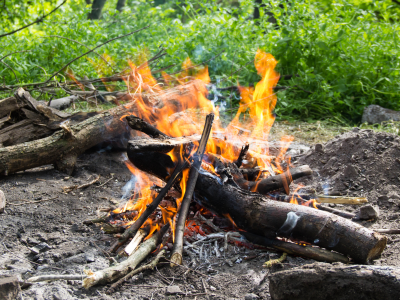 Foto af bål i en skov