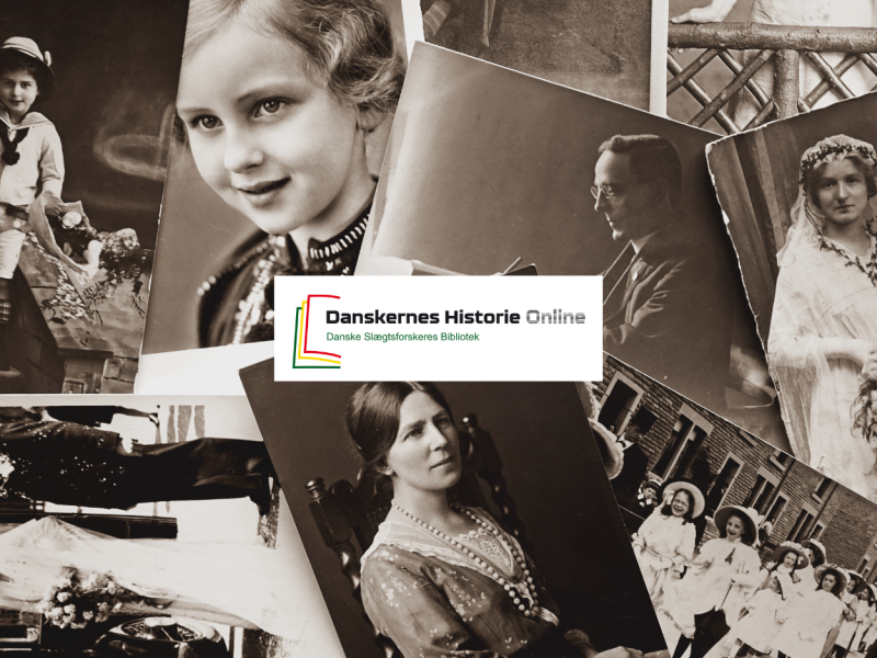 Danskernes Historie Online logo