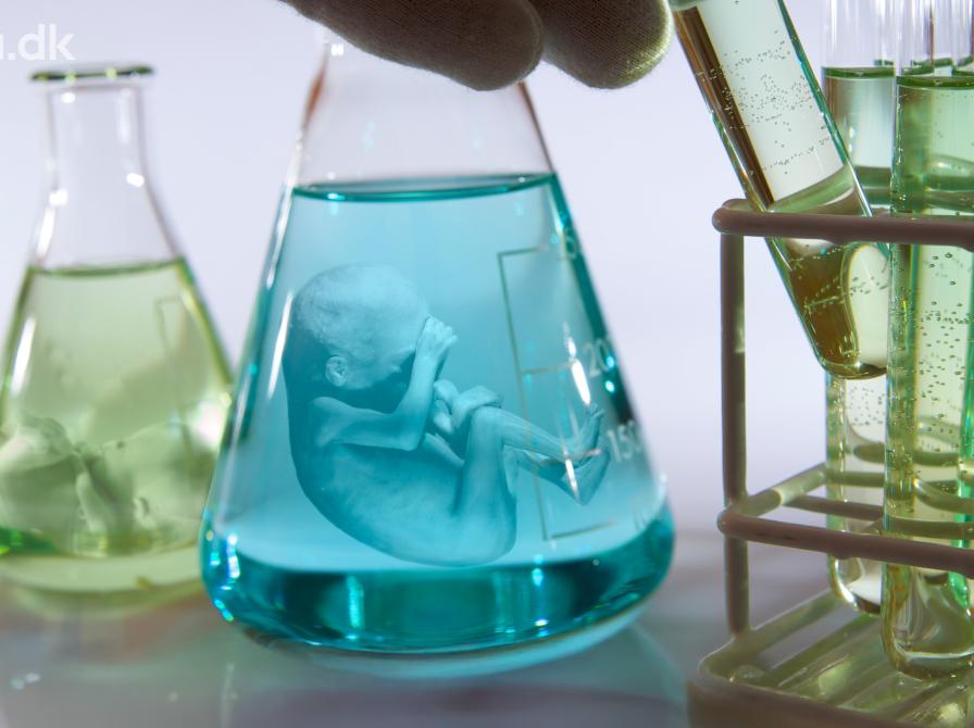 Foto af et foster i en kolbe. Grafisk fremstilling. 