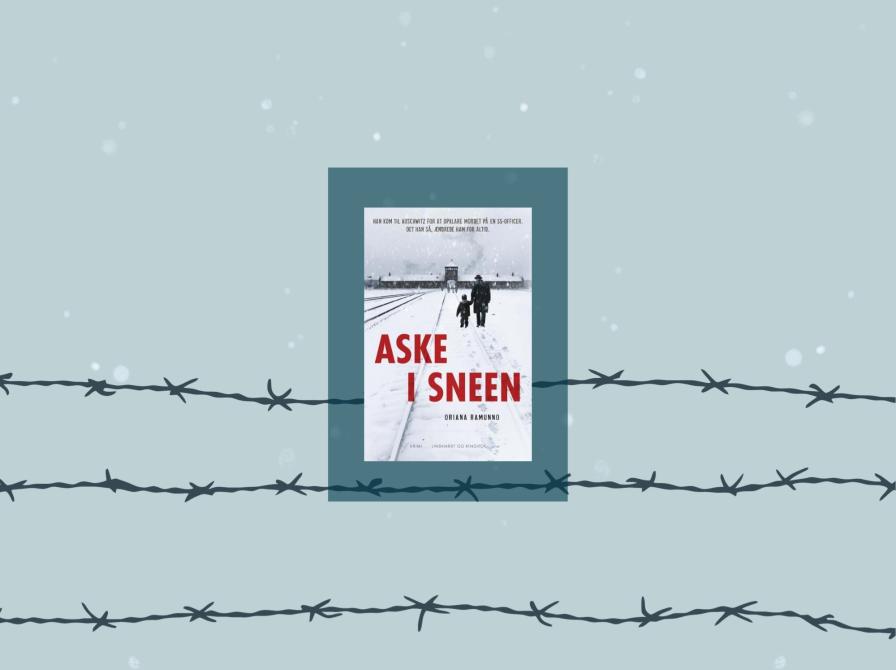 Bogforsiden med illustrationer af pigtråd og snefald.